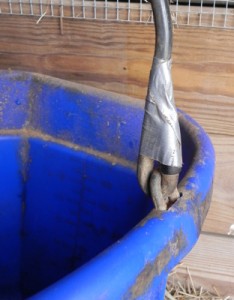 Wrapping a little duct tape around the ends of the bucket bail will help the horse avoid getting his mane, tail, or other more important body parts stuck in the loop.